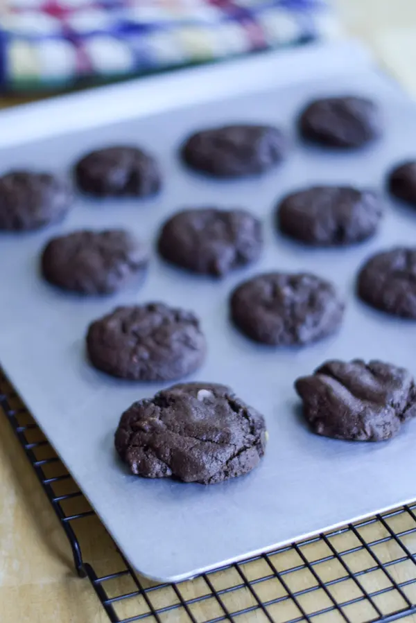 The chocolate cookies on a cookie sheet