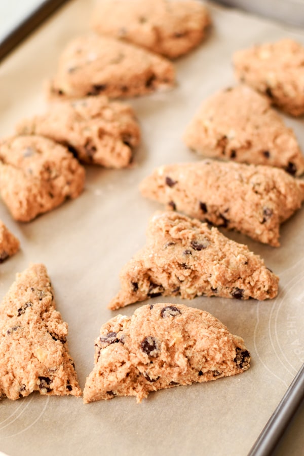 Dough cut in rectangles and placed on a jelly roll pan