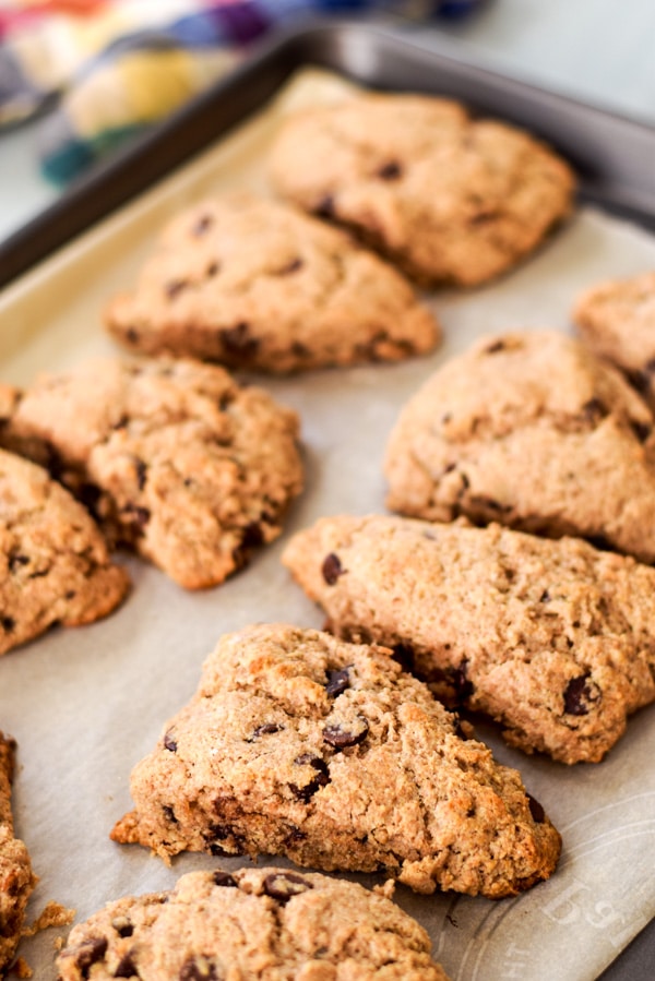 Scones fresh out of the oven but still on the pan