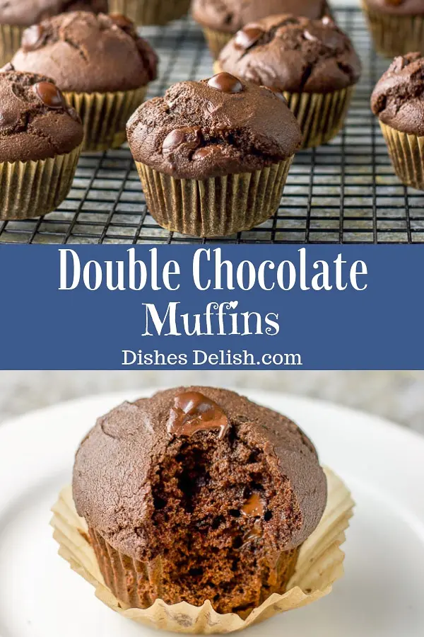 Double Chocolate Muffins for Pinterest