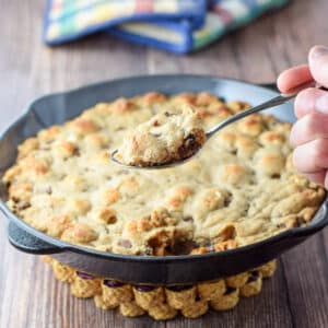A spoonful of the chocolate chip cookie hovering over a pan fresh out of the oven