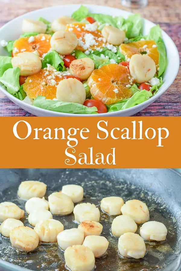 Orange Scallop Salad for Pinterest