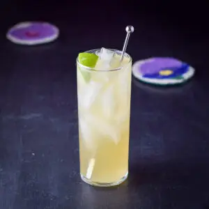 A collins glass filled with the cocktail with a stirrer and lime wedge in it - square