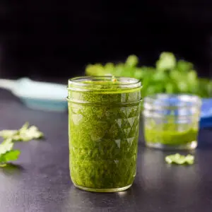Vertical view of a all jar full of a green sauce with parsley leaves in the background - square