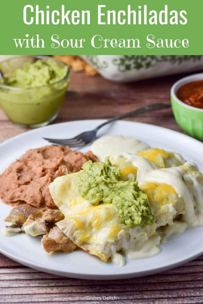 Chicken Enchiladas in Sour Cream Sauce for Pinterest 4