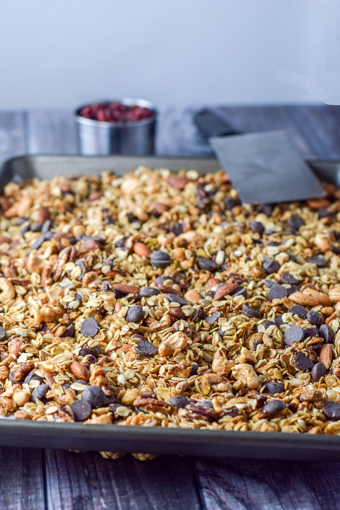 Cranberry Chocolate Granola - Crunchy Goodness - Dishes Delish