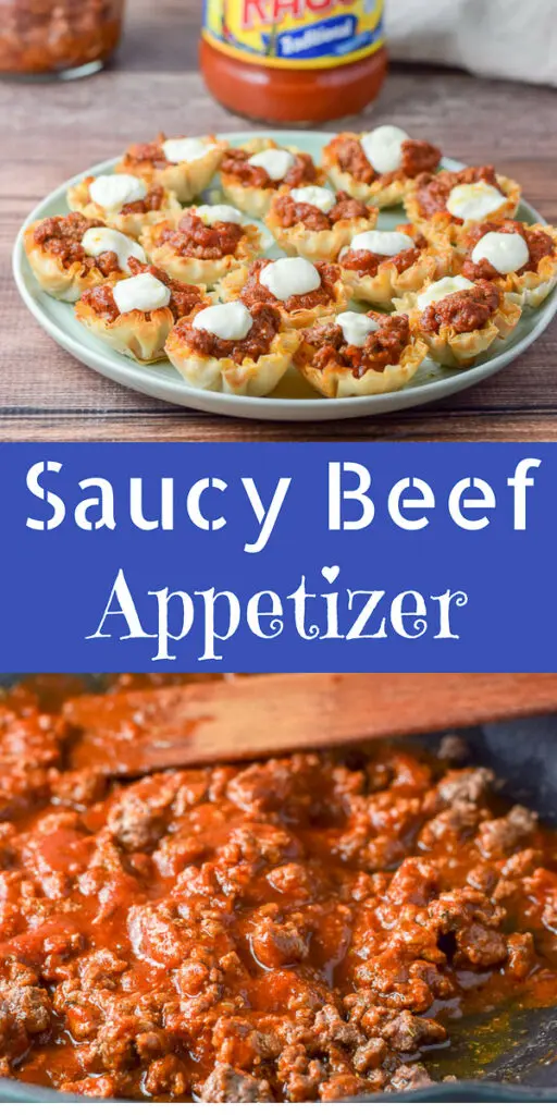 Saucy Beef Appetizers for Pinterest