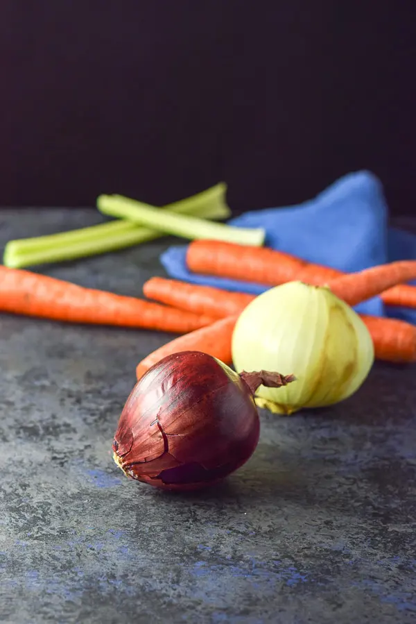 Purple onion, vidalia onion, carrots and celery on a greyish board