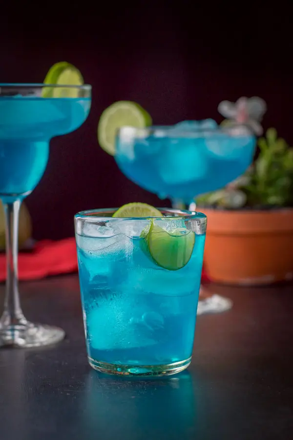 vertical view of the three glasses of the blue drink with a plant in the background