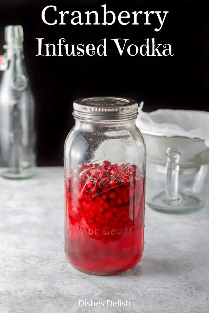 Cranberry Infused Vodka for Pinterest 2