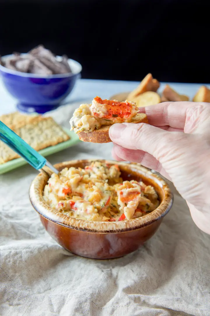 A hand holding a bread crisp with a lobster dip on it - over the crock