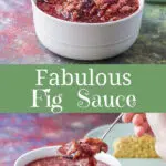 Fig Sauce - Fabulously Easy & Delicious - Dishes Delish