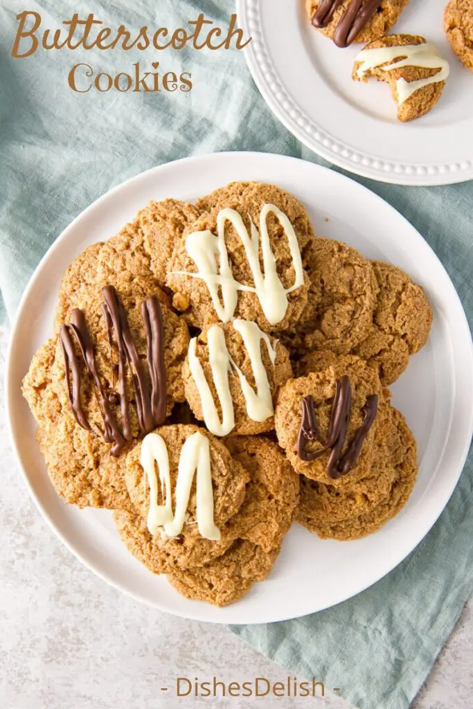 Butterscotch Cookies for Pinterest 5