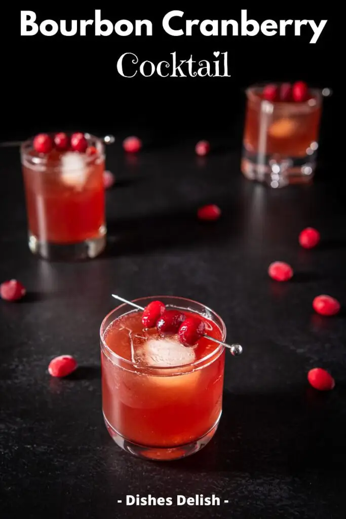 Bourbon Cranberry Cocktail for Pinterest 3