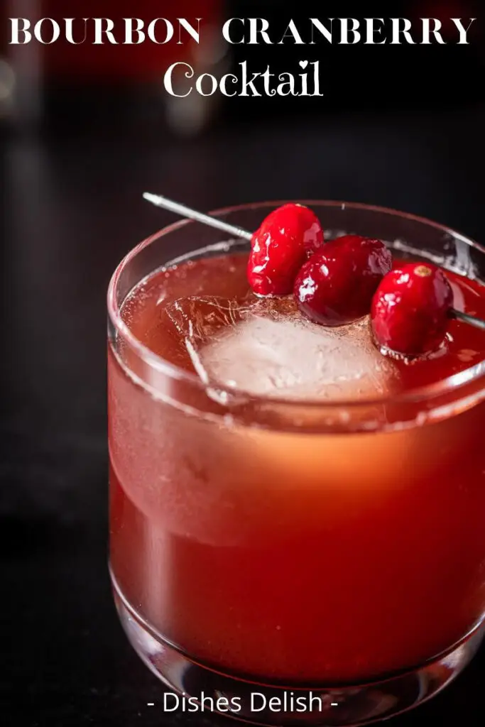 Bourbon Cranberry Cocktail for Pinterest 4