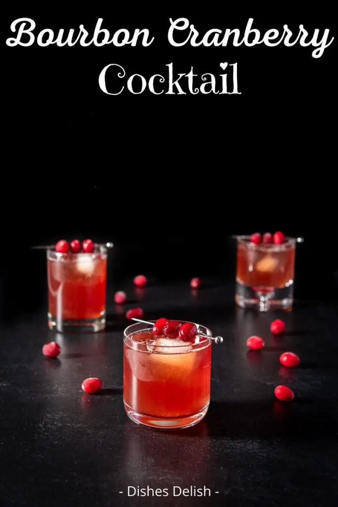 Bourbon Cranberry Cocktail for Pinterest 5