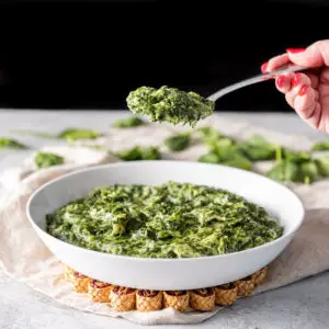 A spoonful of creamed spinach