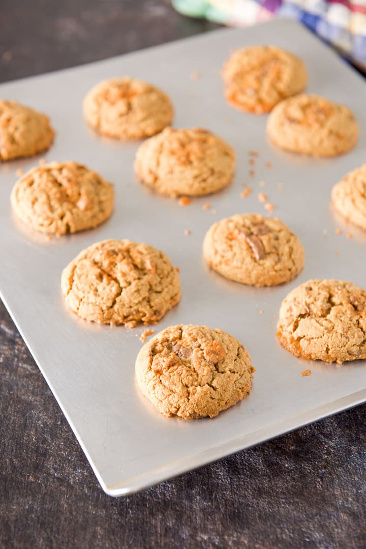 Cookies straight out of the oven on cookie sheets