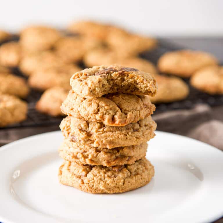 A white plate with 5 cookies in a stack. The top cookie has a bite in it - square