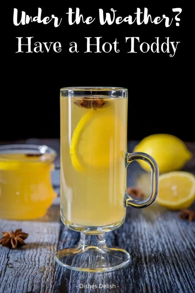 Hot Toddy Recipe for Pinterest 5