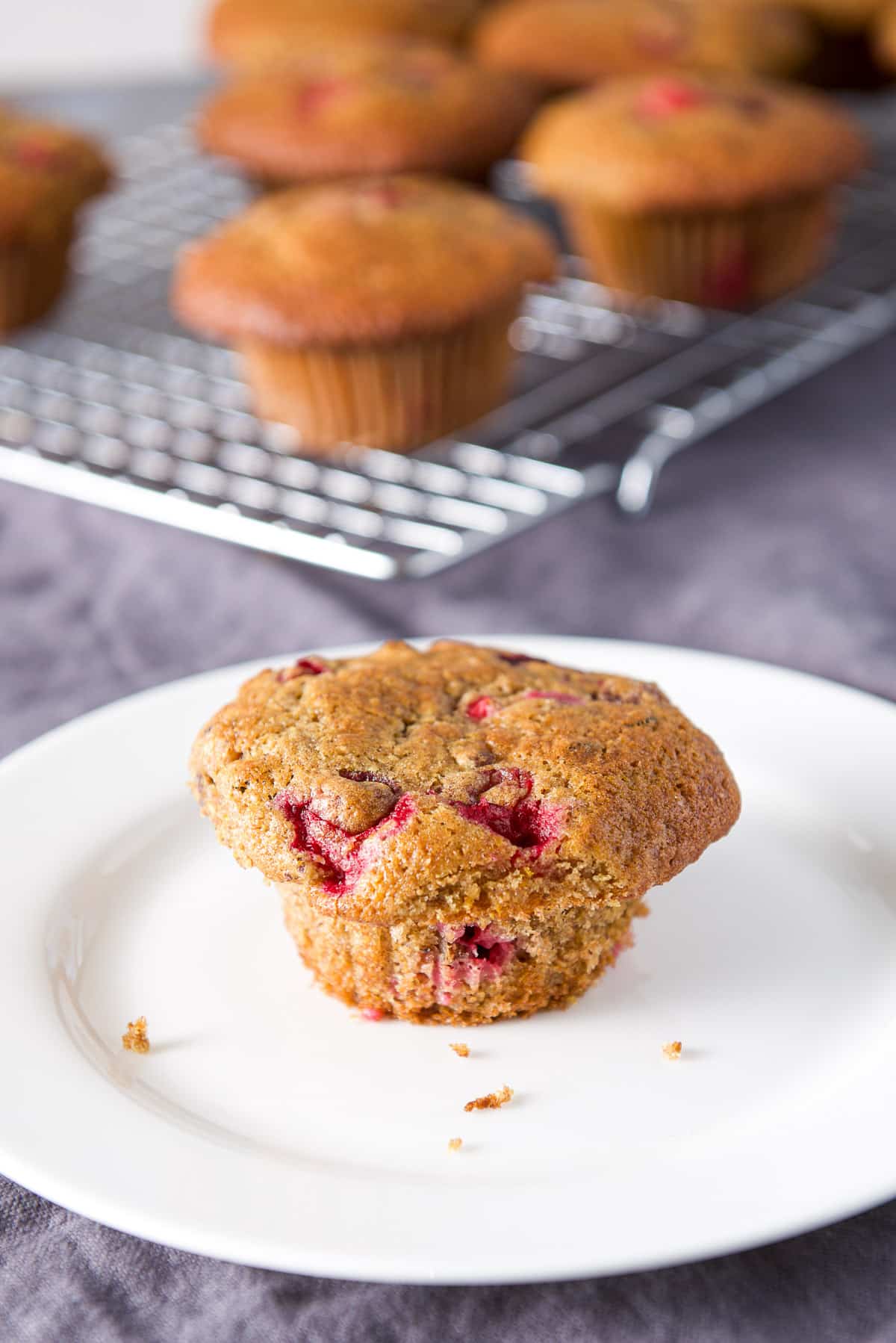 A white plate with a muffin on it with the wire rack in the background