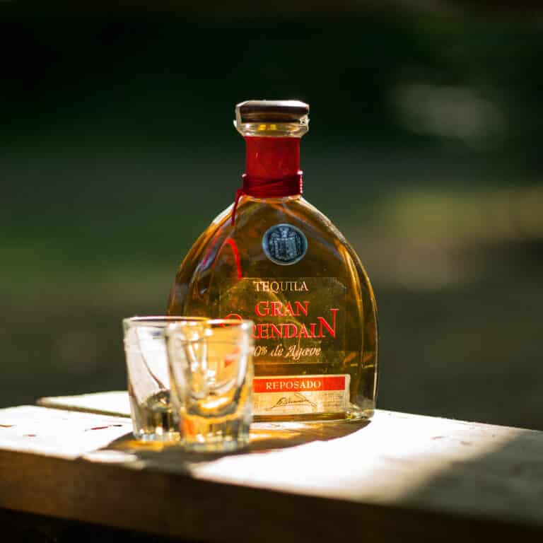 A bottle of tequila with two shot glasses on a wooden board - square