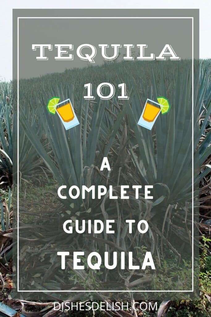 Tequila 101 for Pinterest 1