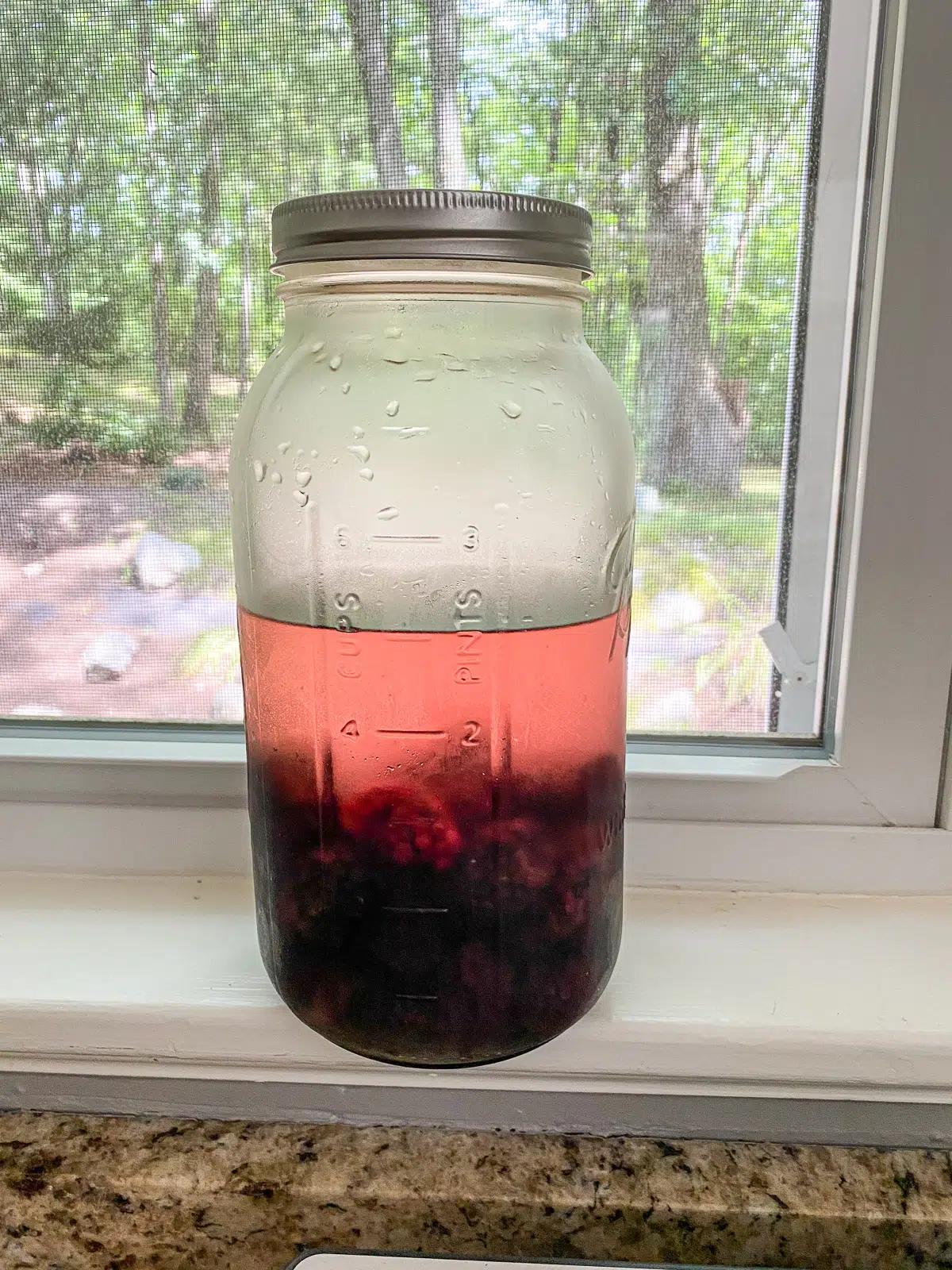 Large jar of the blackberry vodka after 3 days in the fridge