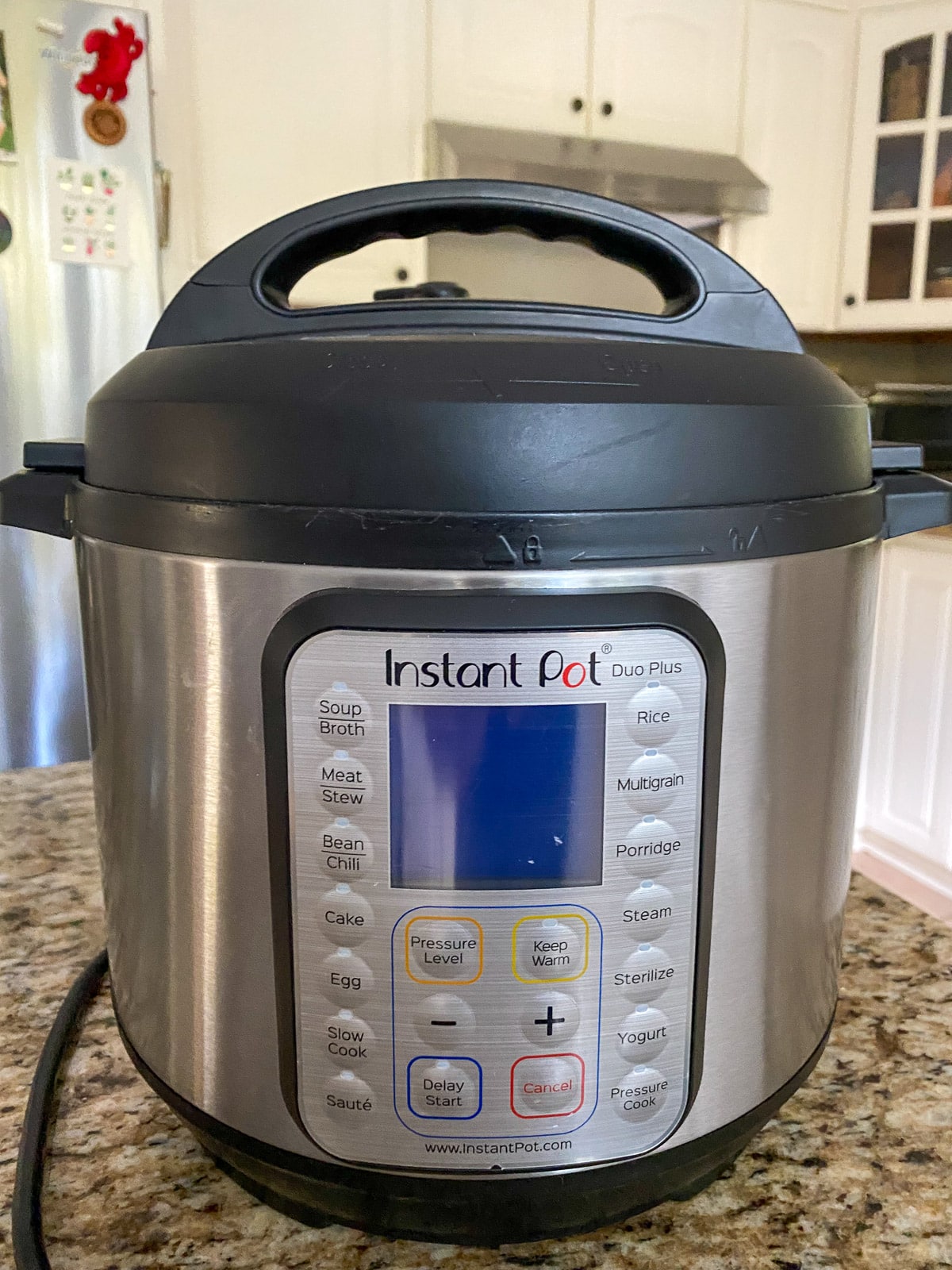 The whole instant pot on a counter