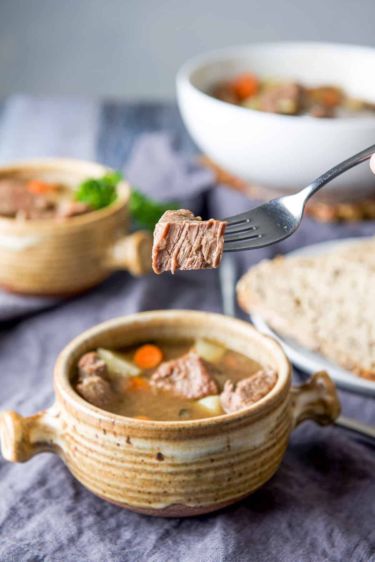 Instant Pot Lamb Stew - Dishes Delish