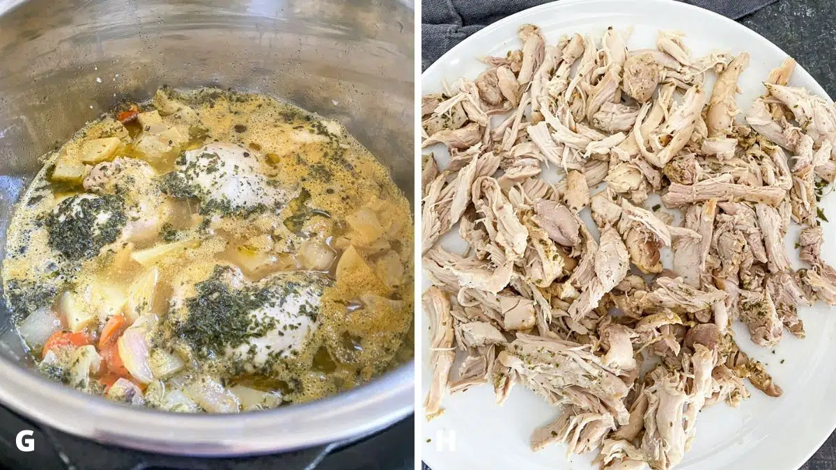 Left - soup done with chicken still in it. Right - shredded chicken thighs on plate
