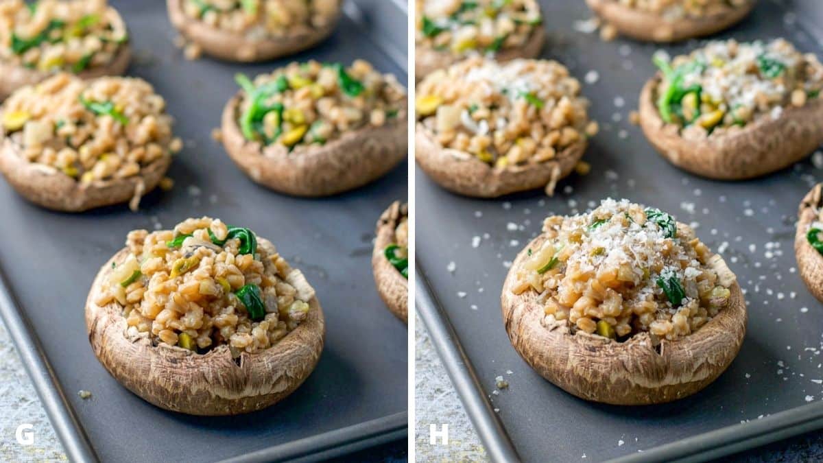Mushroom caps stuffed with farro and sprinkled with cheese