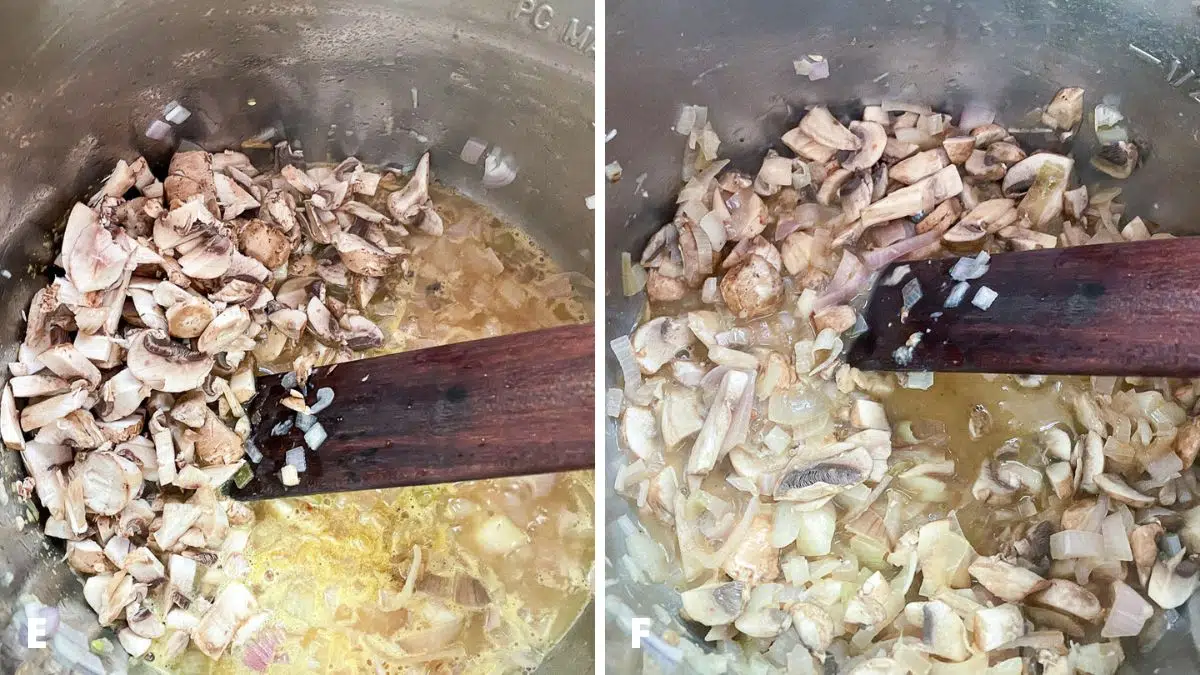 Chopped mushrooms added to broth and then stirred