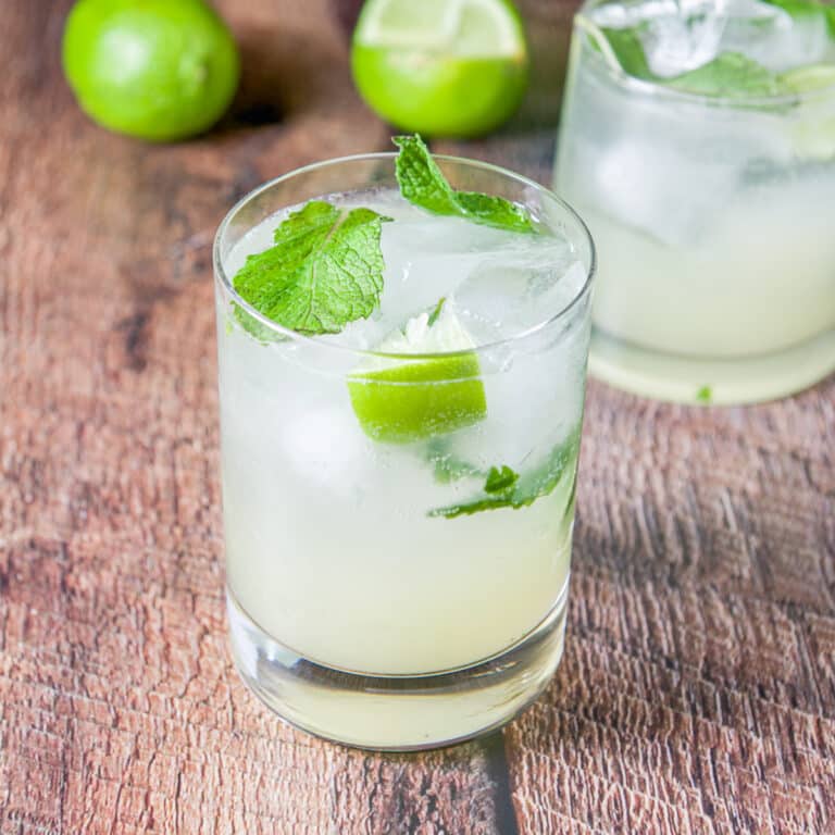 Square photo of the mojito with extra mint and a lime wedge