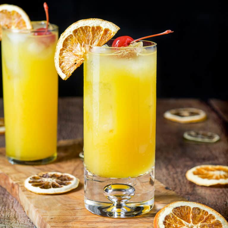 square photo of an orange juice cocktail with cherries and orange rounds as garnish