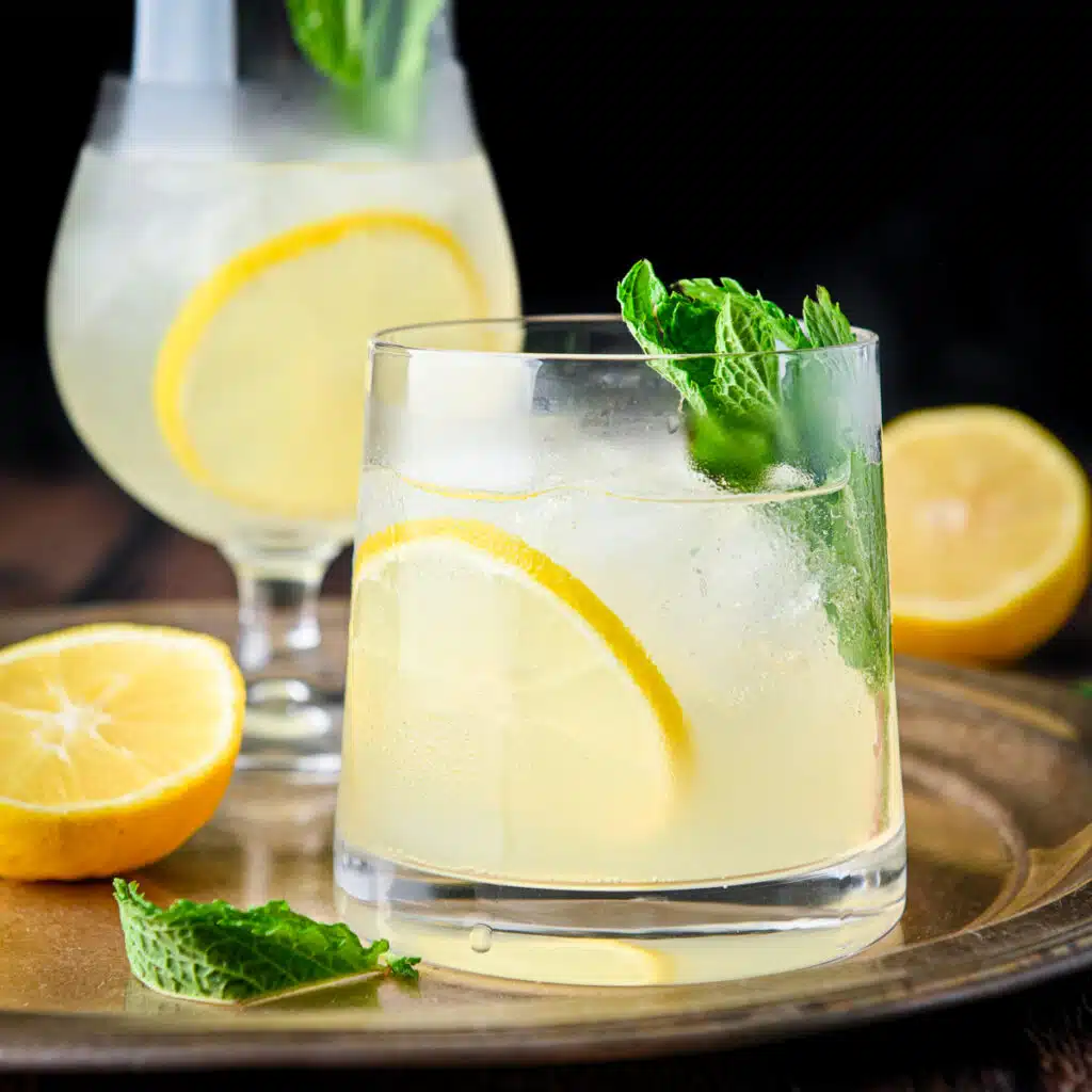 square photo of a metal platter with the two drinks on it with lemon and mint