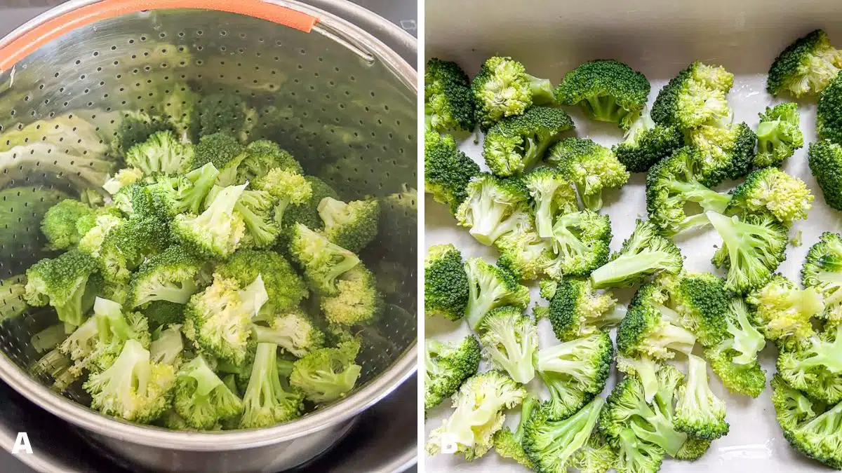 Left: a colander with steamed broccoli in it. Right: the broccoli placed in a casserole dish