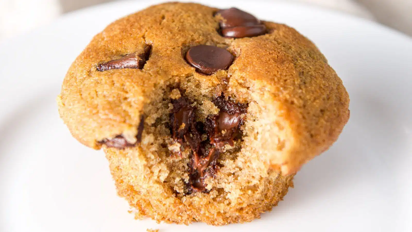 close up of a chocolate chip muffin with a bite and melty chocolate
