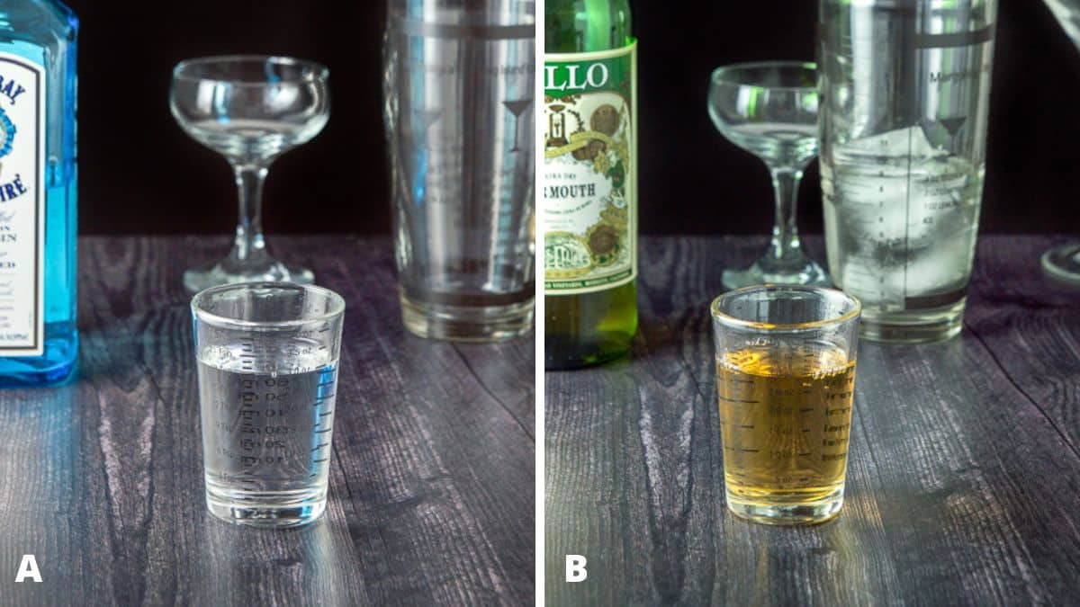 Gin and dry vermouth measured out