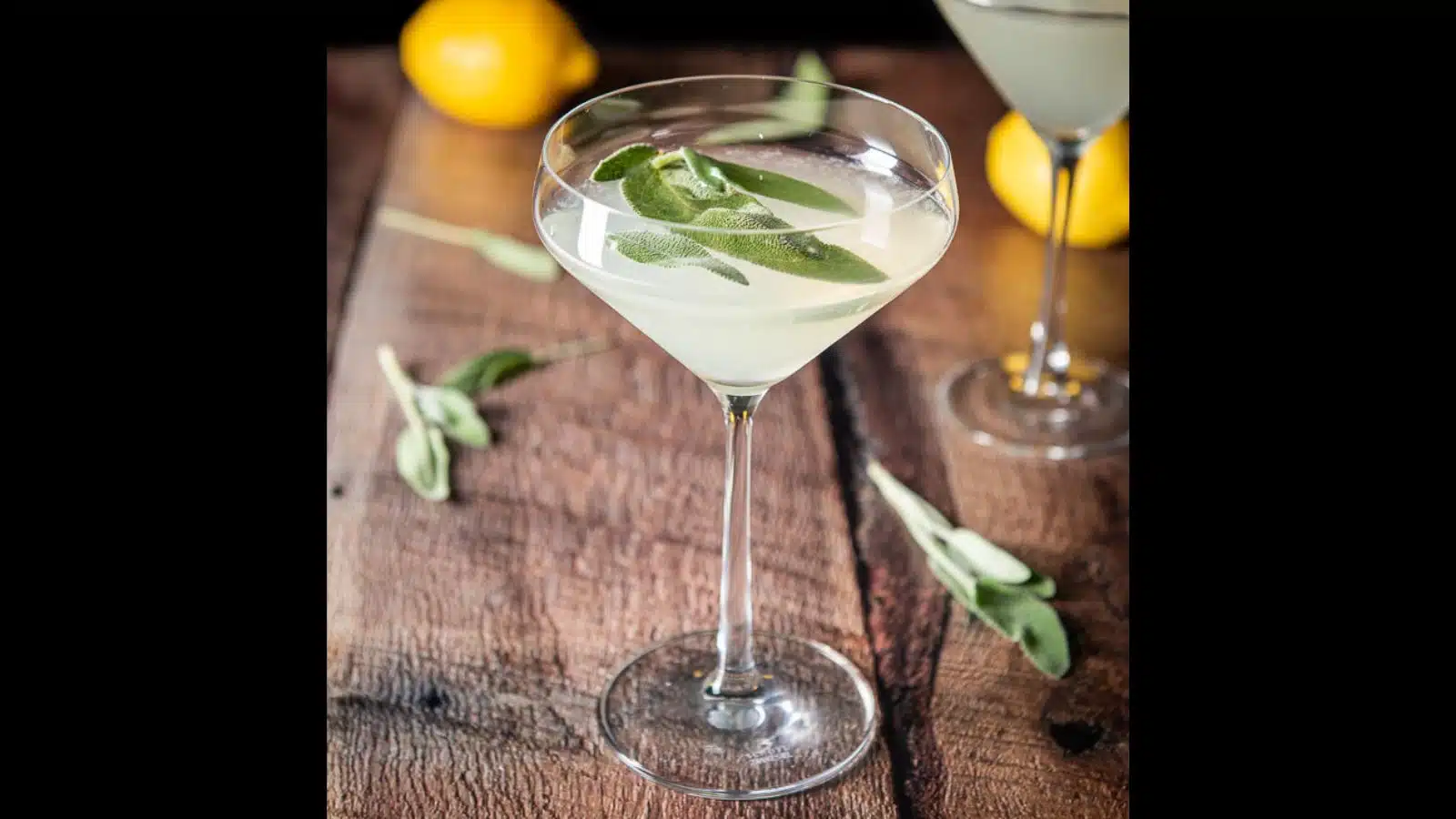 two martini glasses filled with the sage lemon martini with sage and lemons on the table