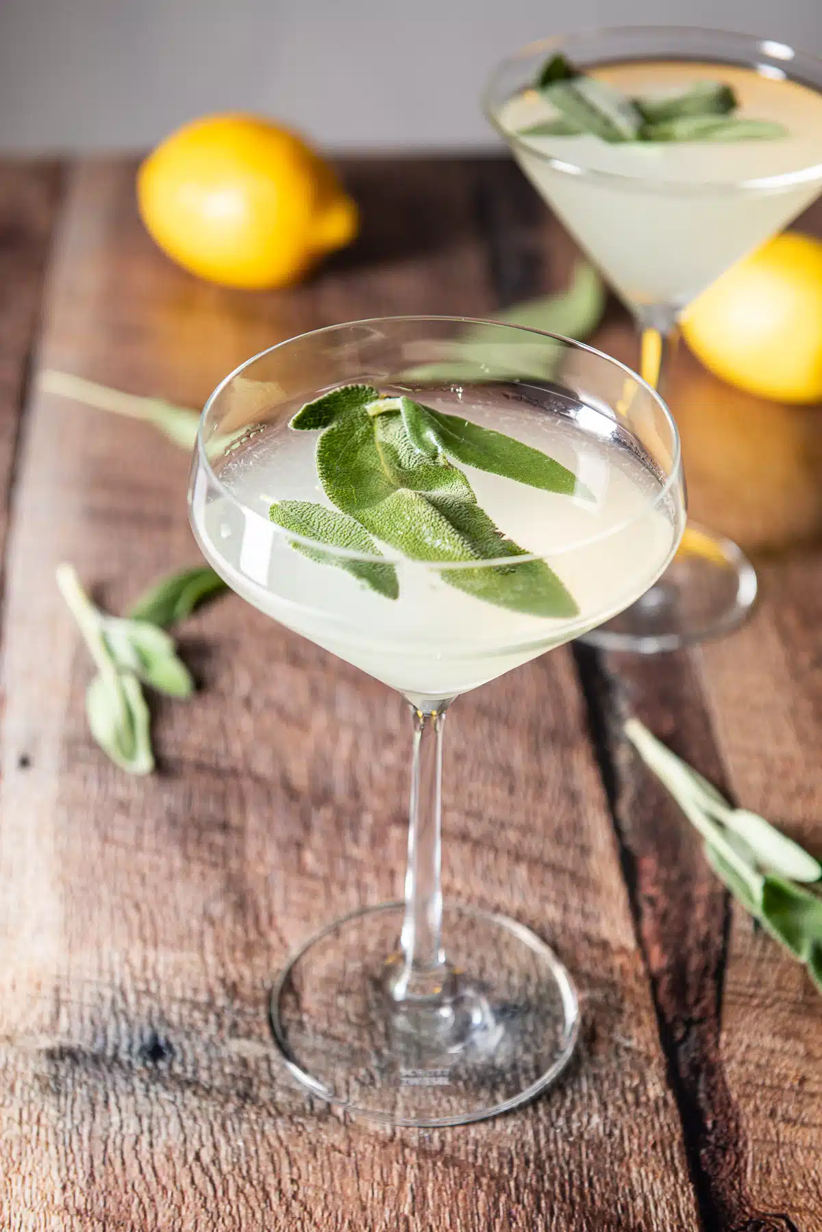 Fun martini glass filled with the martini and sage leaves