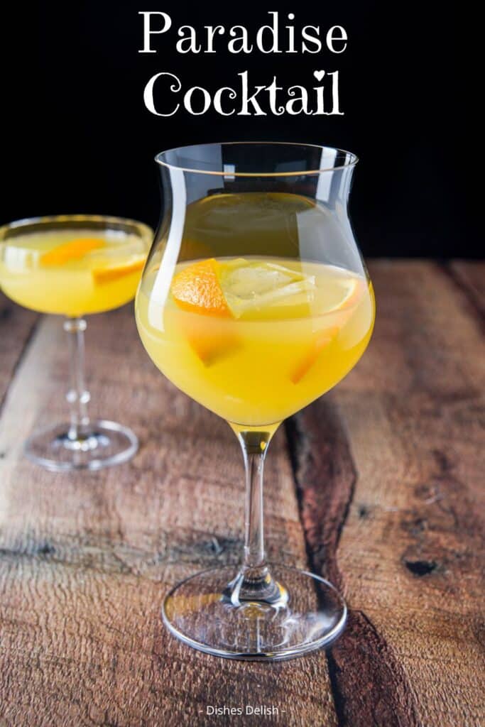 paradise cocktail for Pinterest 2