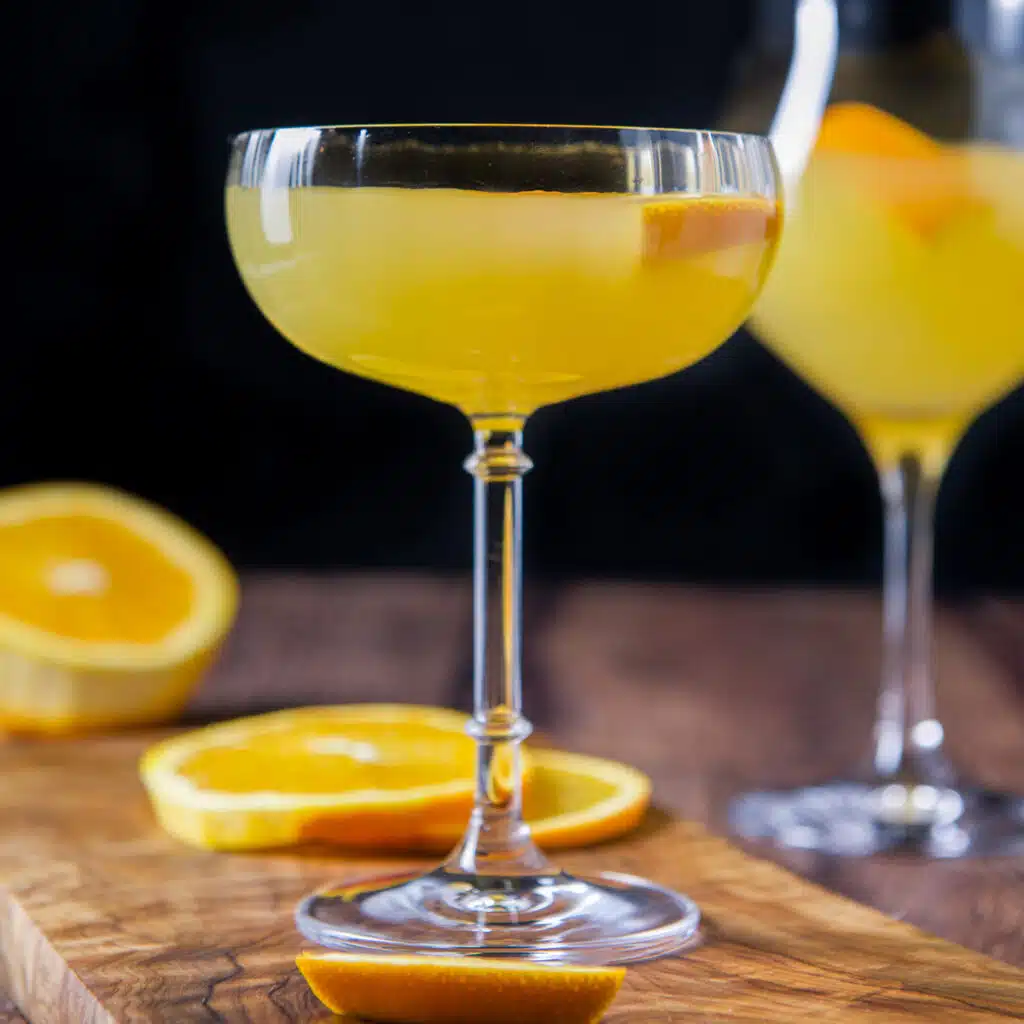 square photo of the coupe glass filled with the orange drink with orange slices as garnish