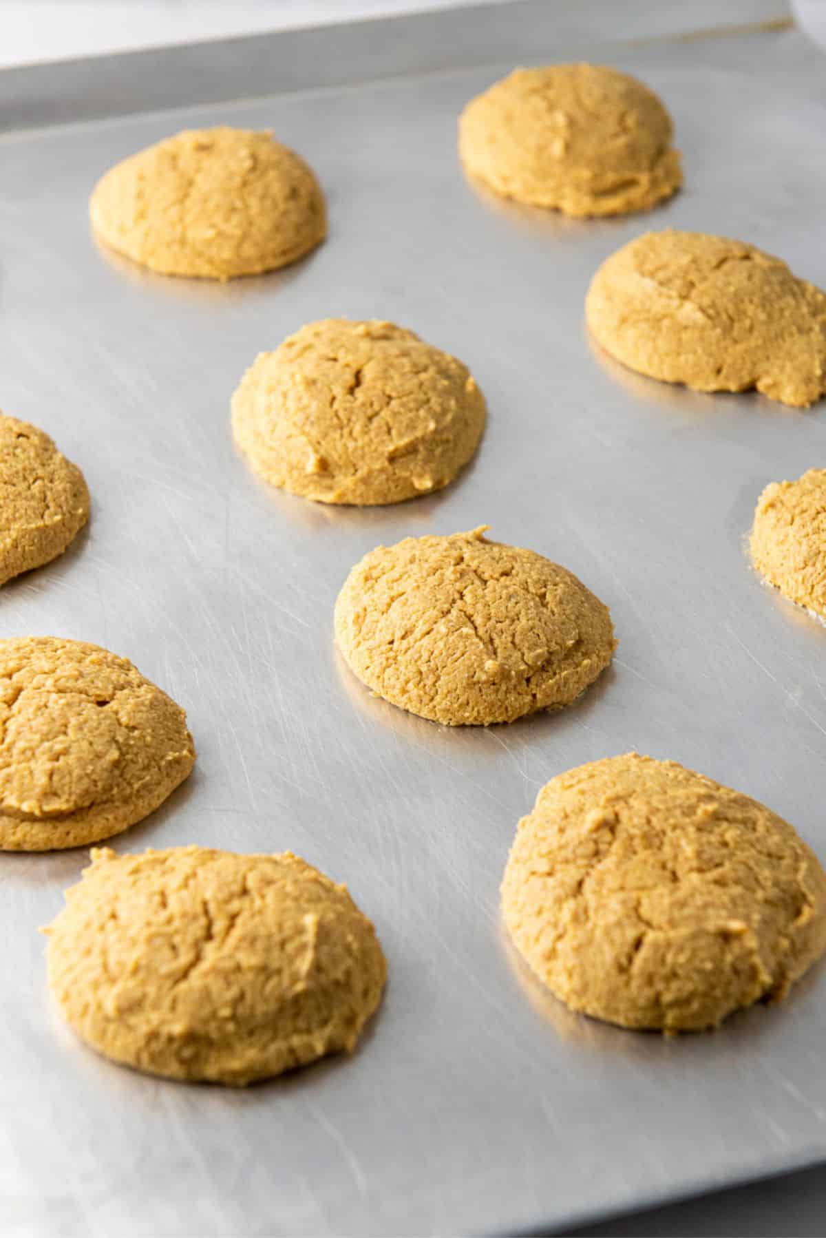 Pumpkin cookies fresh out of the oven still on the cookie sheet