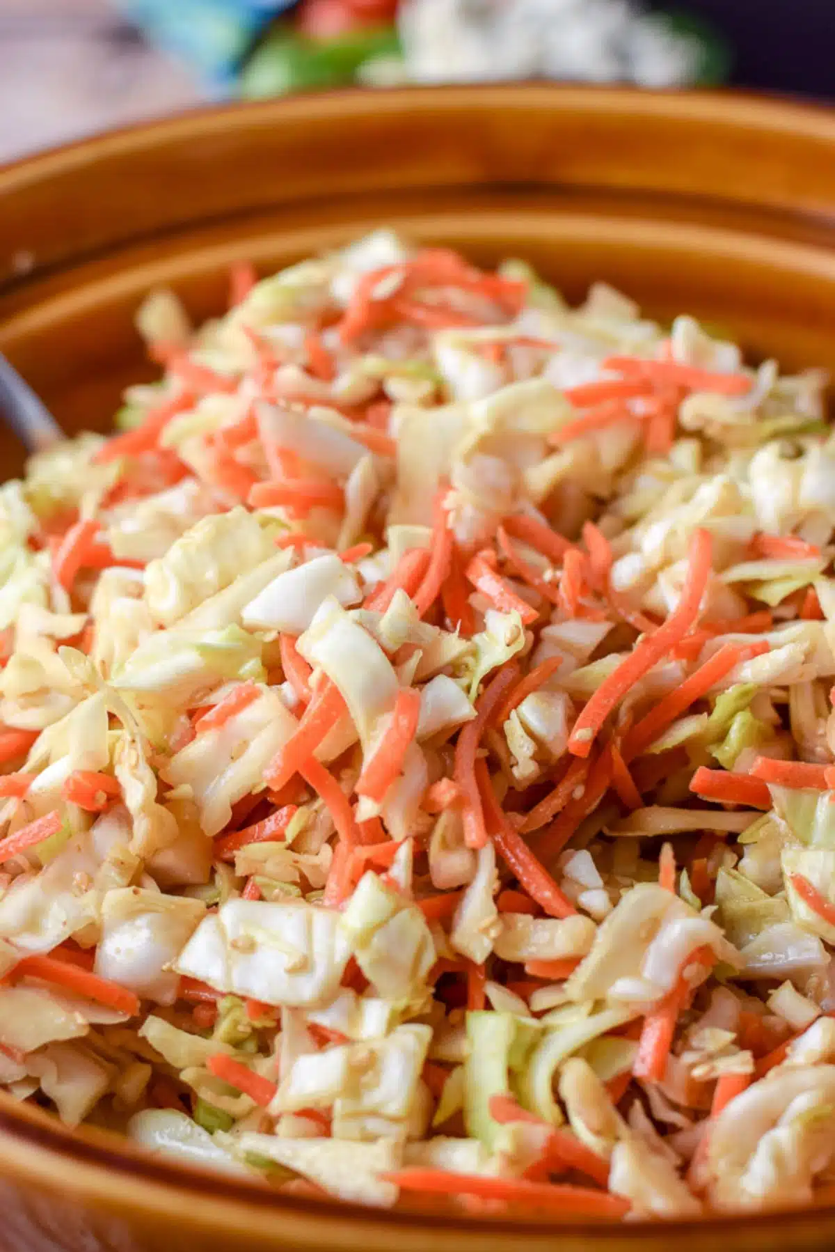 Close up of the coleslaw, you can see the sesame seeds and sauce