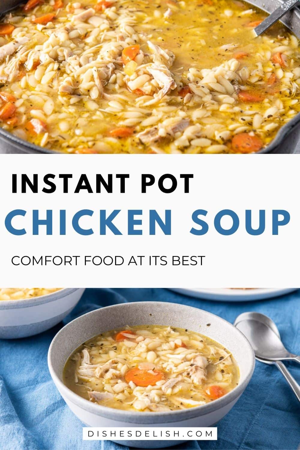Instant Pot Whole Chicken Soup | Dishes Delish