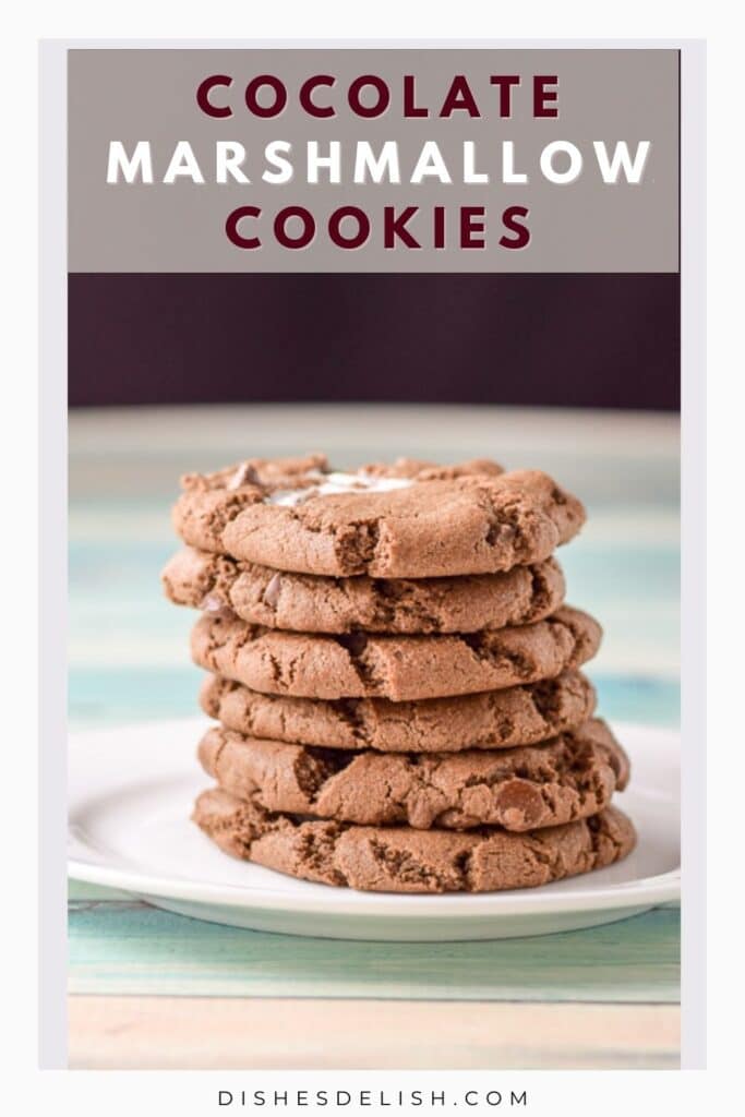 Cocolate Marshmallow Cookies Pin