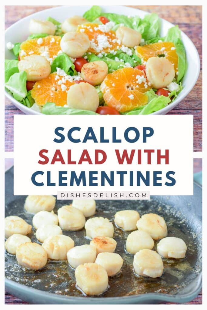 scallop salad Pin