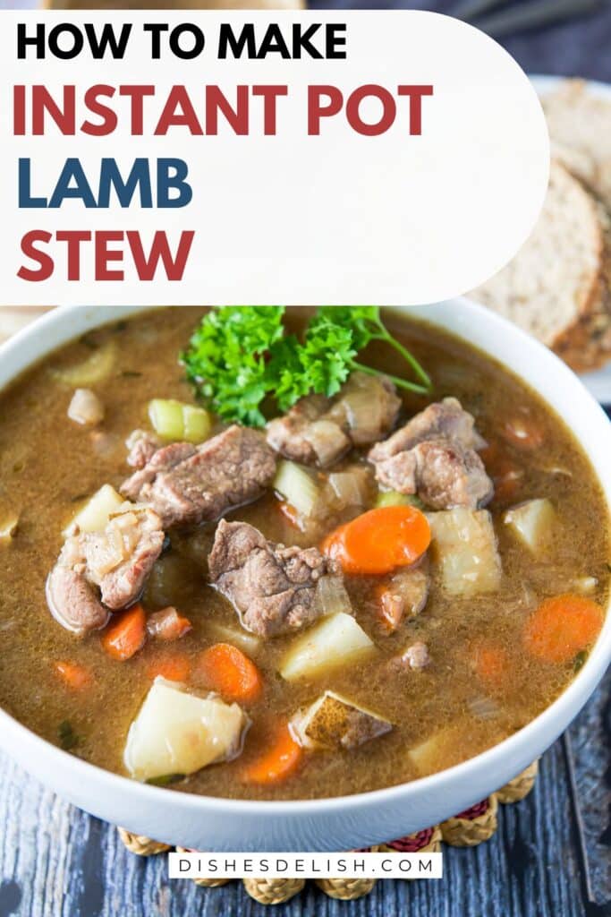 instant pot lamb stew Pin 2