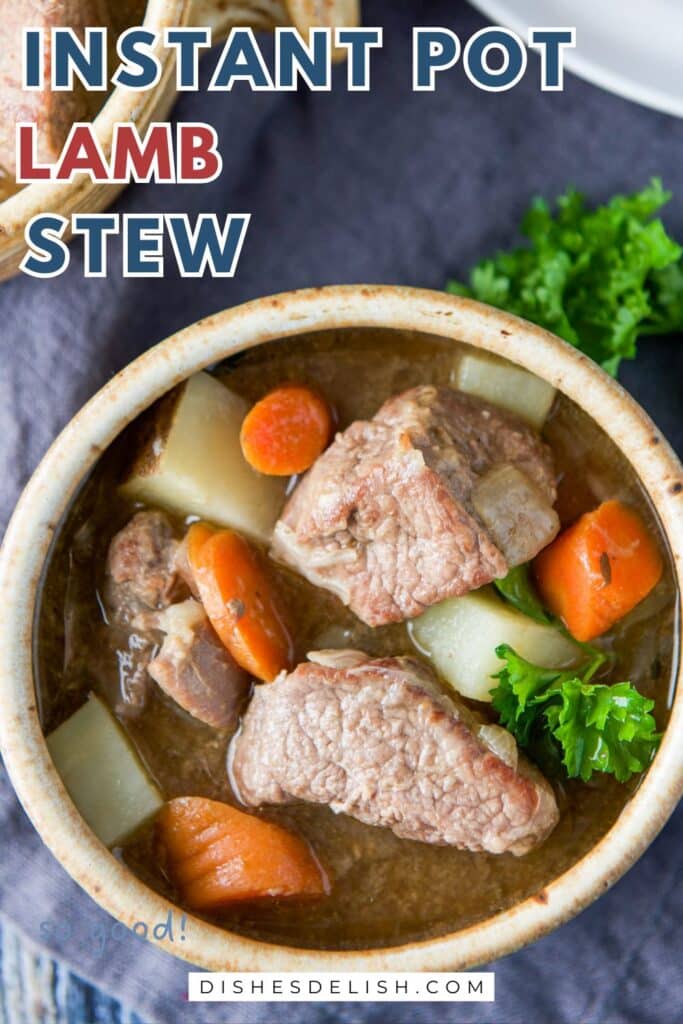 instant pot lamb stew Pin 3